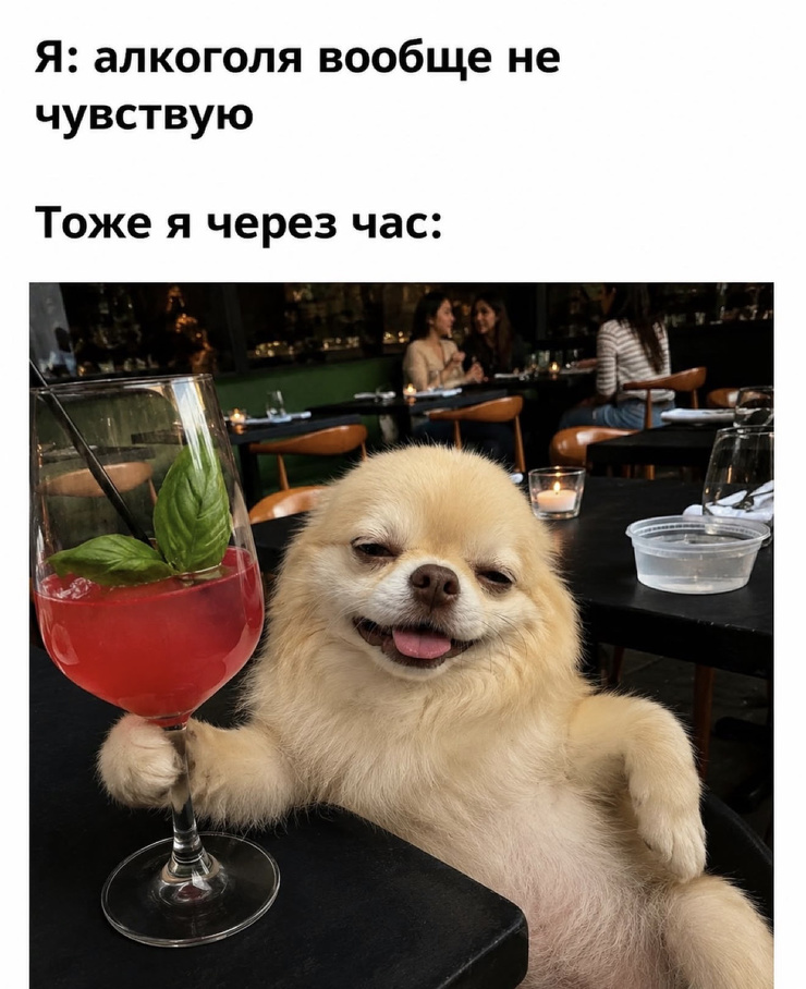 ������ �������� ����� � �������� (22 ����)
