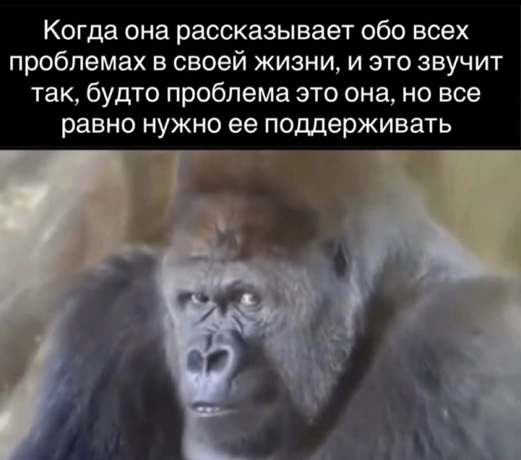 ������ �������� ����� � �������� (22 ����)