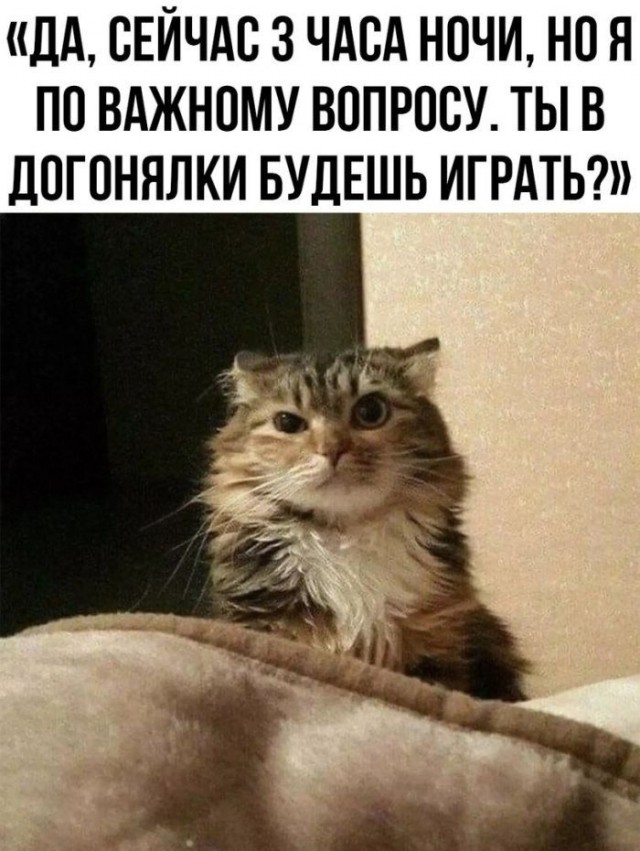������ ���� � ������� �� ���� (35 ����)