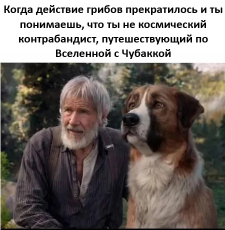 ������ ���� � ������� �� ���� (35 ����)