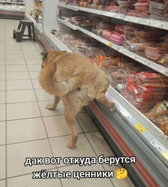 ������ ���� � ������� �� ���� (35 ����)