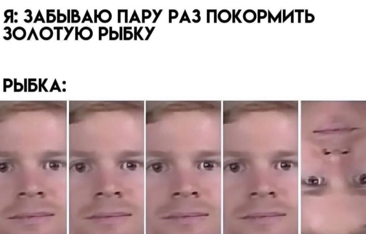 ������ ���� � ������� �� ���� (35 ����)