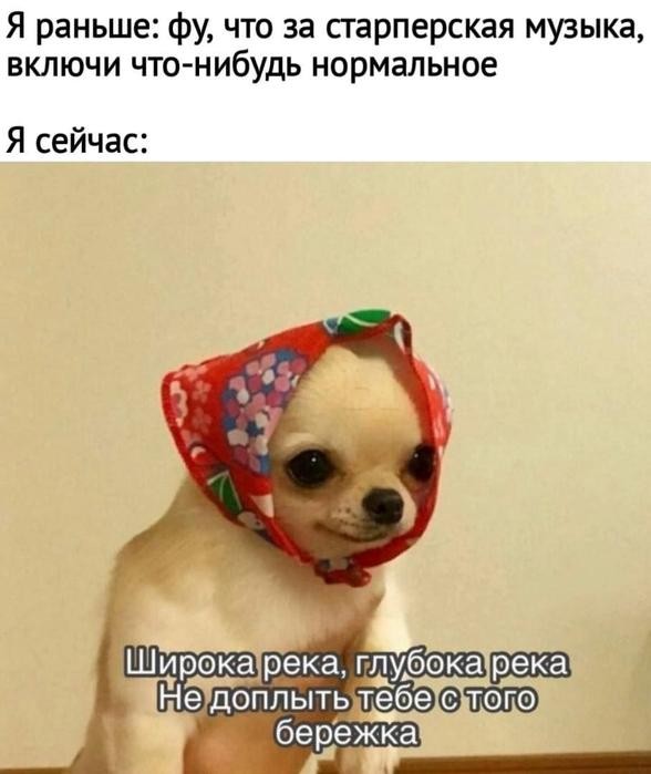 ������ ���� � ������� �� ���� (35 ����)