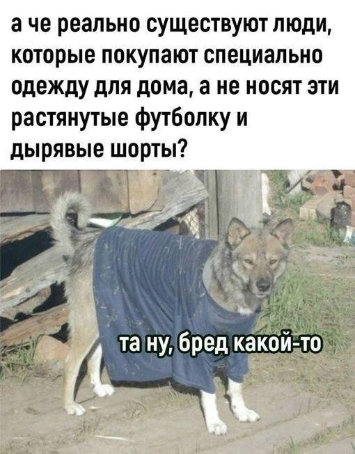 ������ ���� � ������� �� ���� (35 ����)