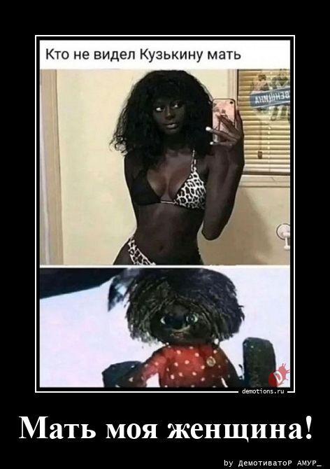 ������������ �������� (17 ����)