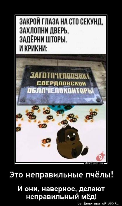 ������������ �������� (17 ����)