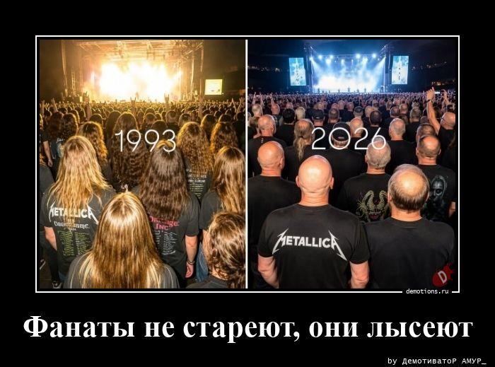 ������������ �������� (17 ����)