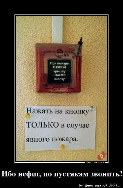 ������������ �������� (17 ����)