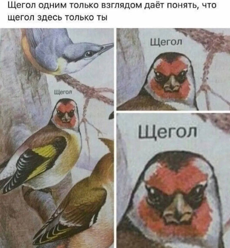 ������� ����� �������� � ����� (30 ����)