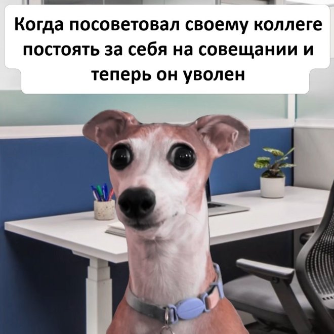 ������� ����� �������� � ����� (30 ����)