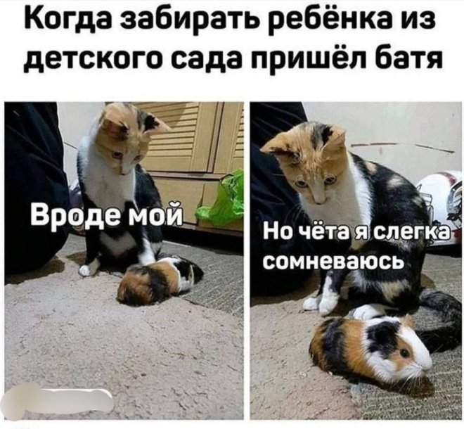 ������� ����� �������� � ����� (30 ����)