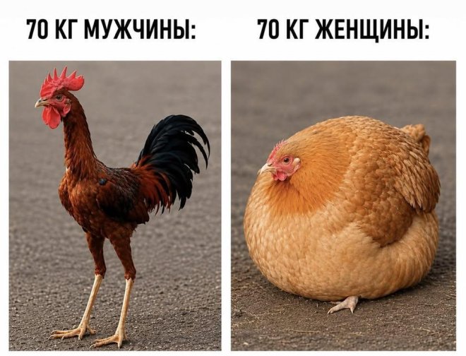 ������� ����� �������� � ����� (30 ����)
