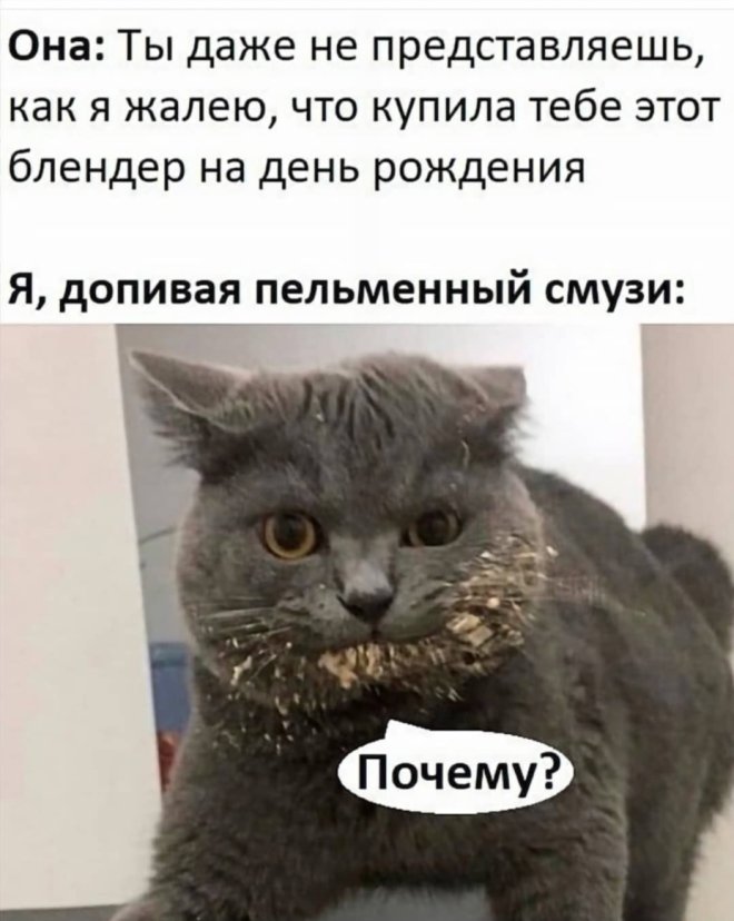������� ����� �������� � ����� (30 ����)