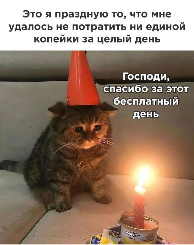������� ����� �������� � ����� (30 ����)