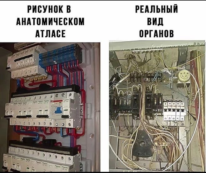 ������� ����� �������� � ����� (30 ����)