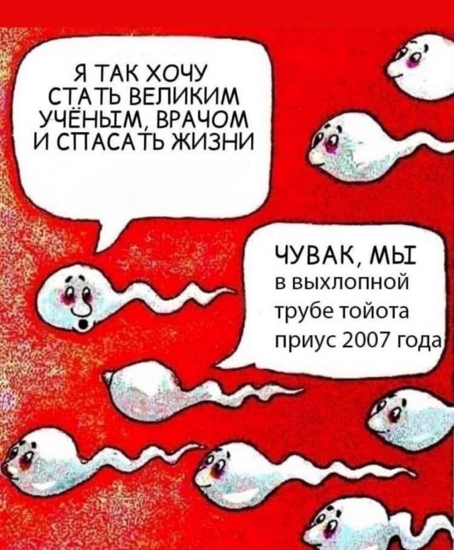 ������� ������� ����� � �������� (40 ����)
