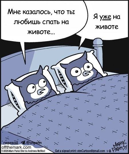 ������� ������� ����� � �������� (40 ����)