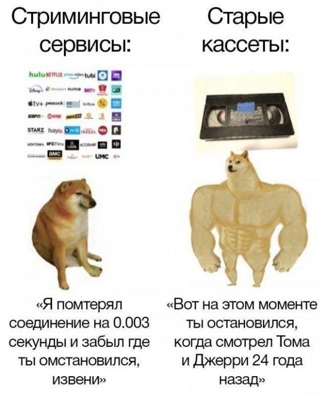 ������� ������� ����� � �������� (40 ����)