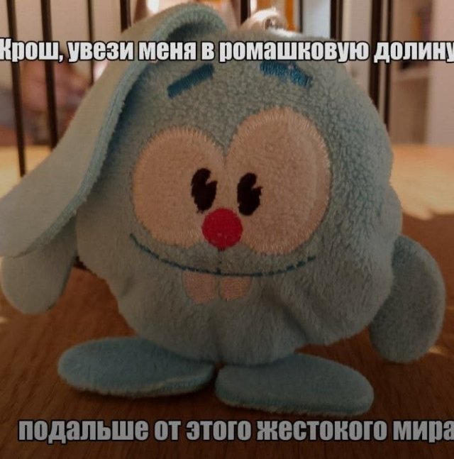 ������� ������� ����� � �������� (40 ����)