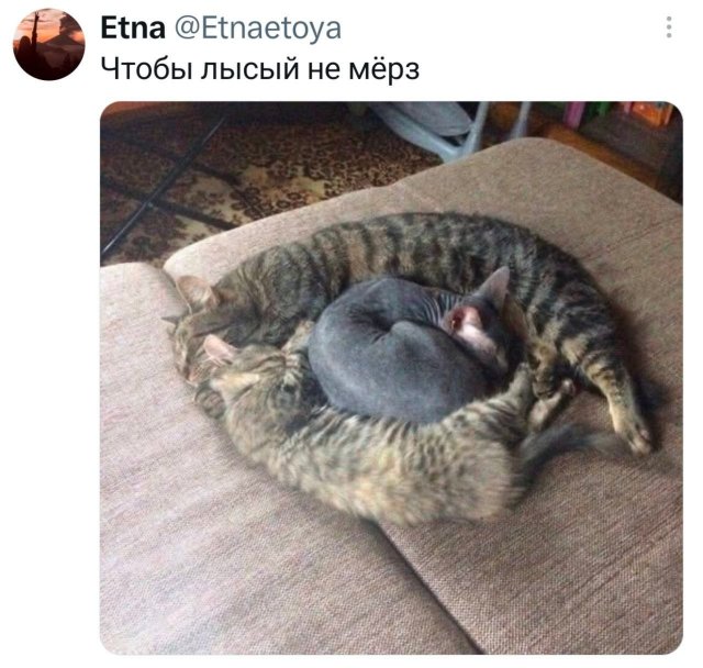������� ������� ����� � �������� (40 ����)