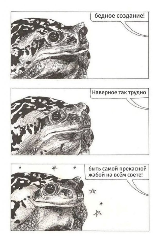 ������� ������� ����� � �������� (40 ����)