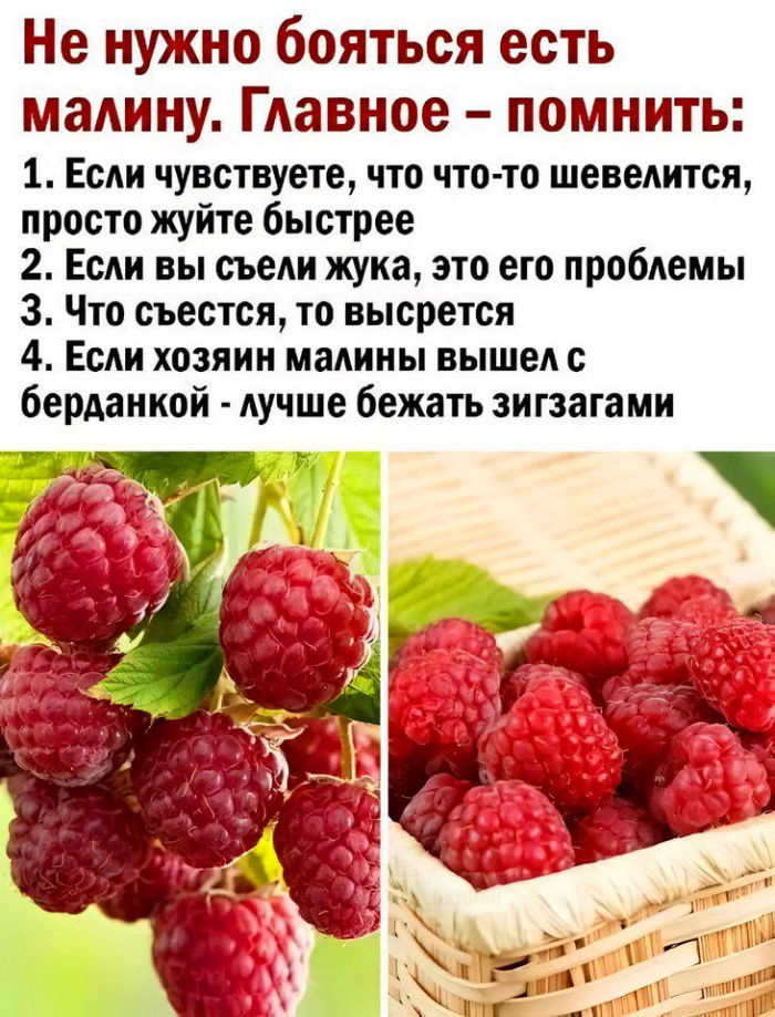 ������� ������� ����� � �������� (40 ����)