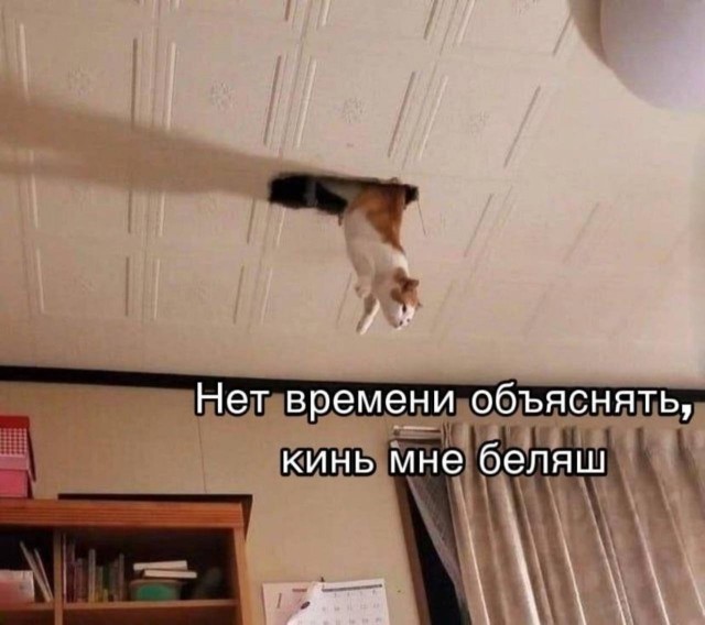������� ������� ����� � �������� (40 ����)