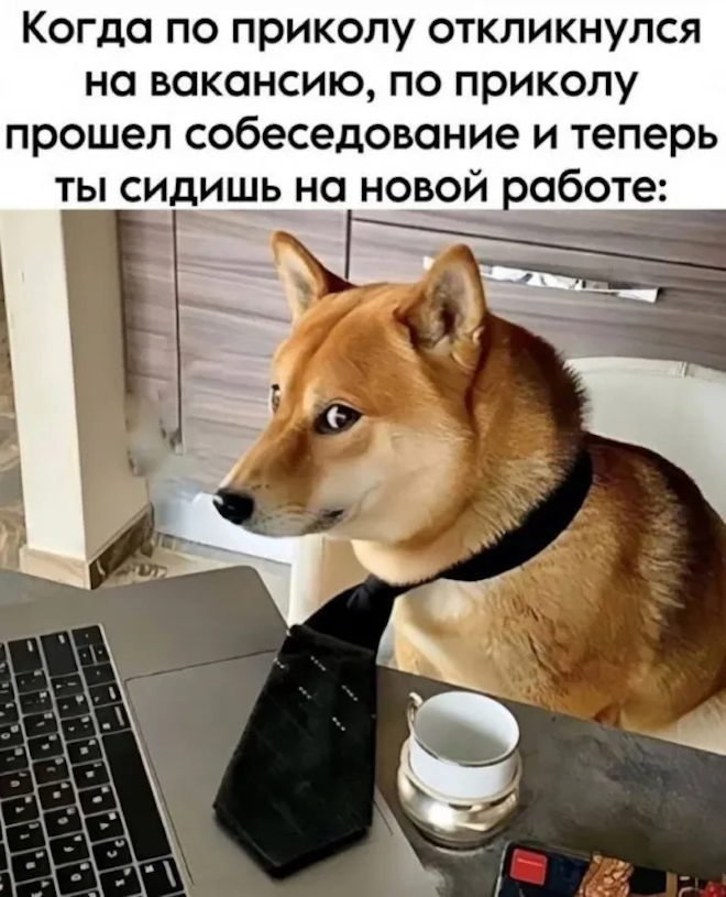 ������� ������� ����� � �������� (40 ����)