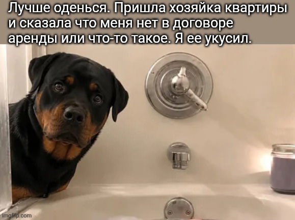 ������� ����� � �������� ��� ���������� (30 ����)