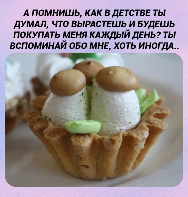 ������� ����� � �������� ��� ���������� (30 ����)