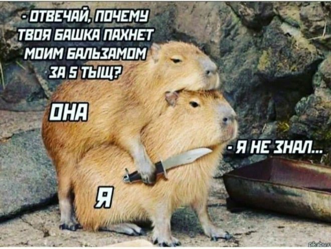 ������� ����� � �������� ��� ���������� (30 ����)