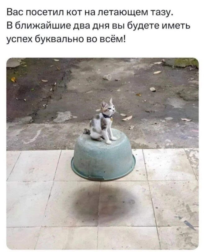 ������� ����� � �������� ��� ���������� (30 ����)