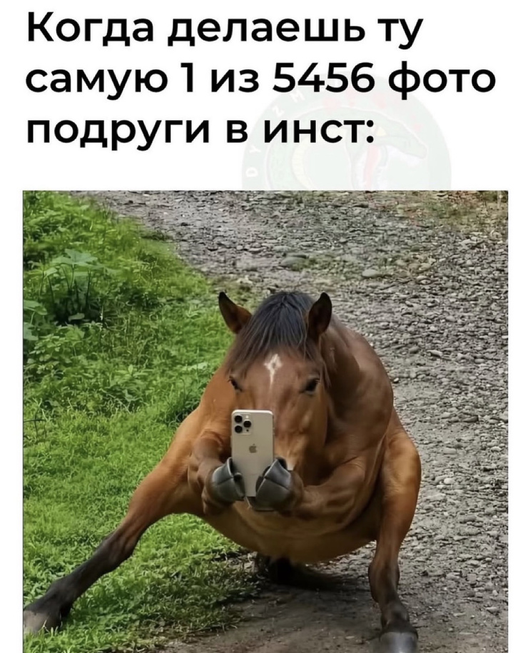 ���������! ������ ���� � ������� (30 ����)