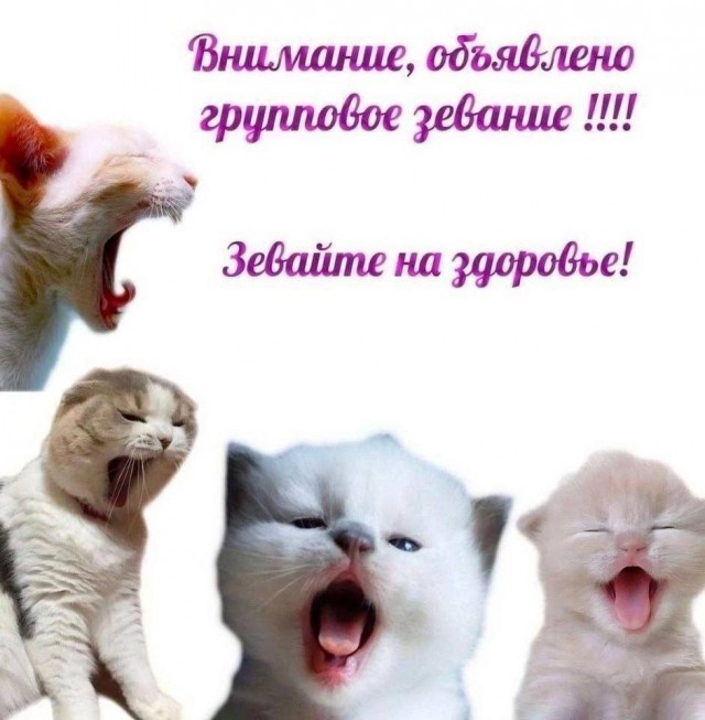 ���������! ������ ���� � ������� (30 ����)