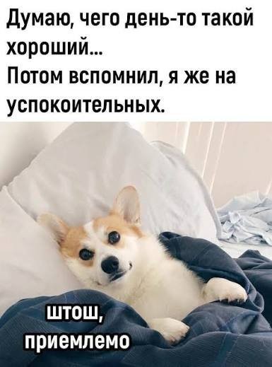 ���������! ������ ���� � ������� (30 ����)