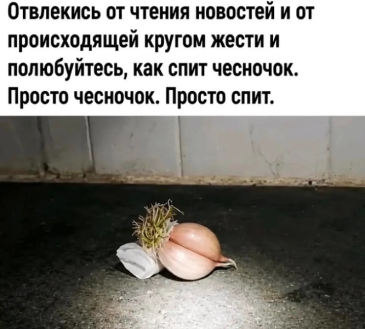 �������� ����� � �������� ��� ���������� (30 ����)