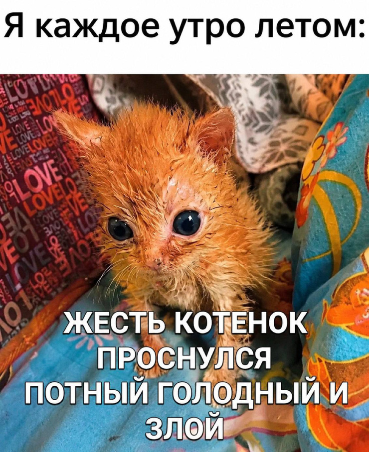 �������� ����� � �������� ��� ���������� (30 ����)