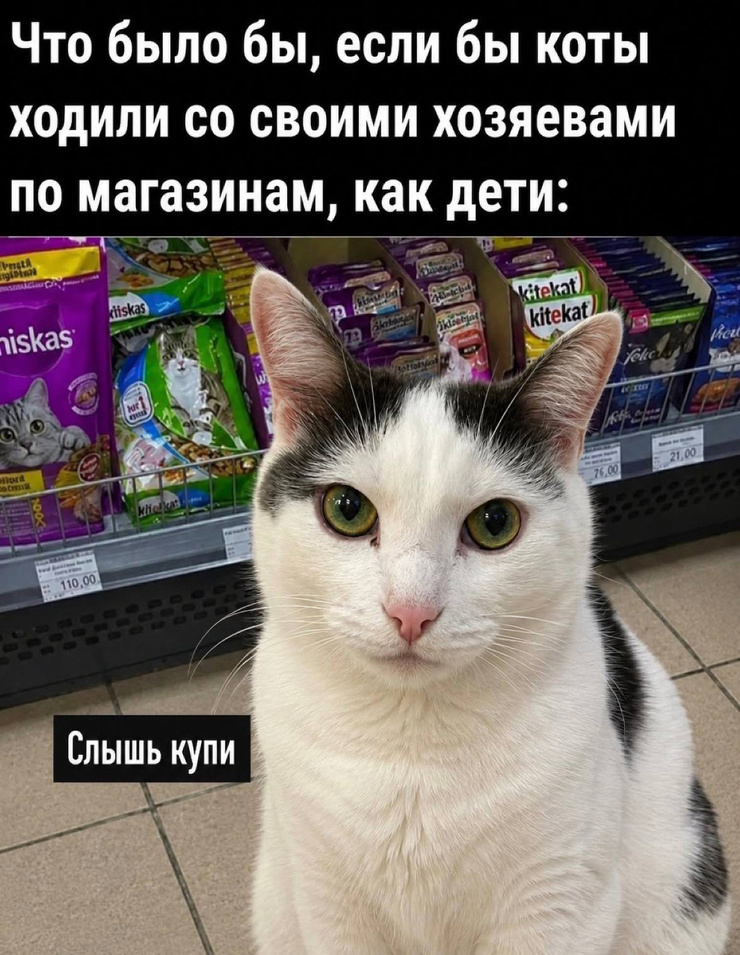 �������� ����� � �������� ��� ���������� (30 ����)