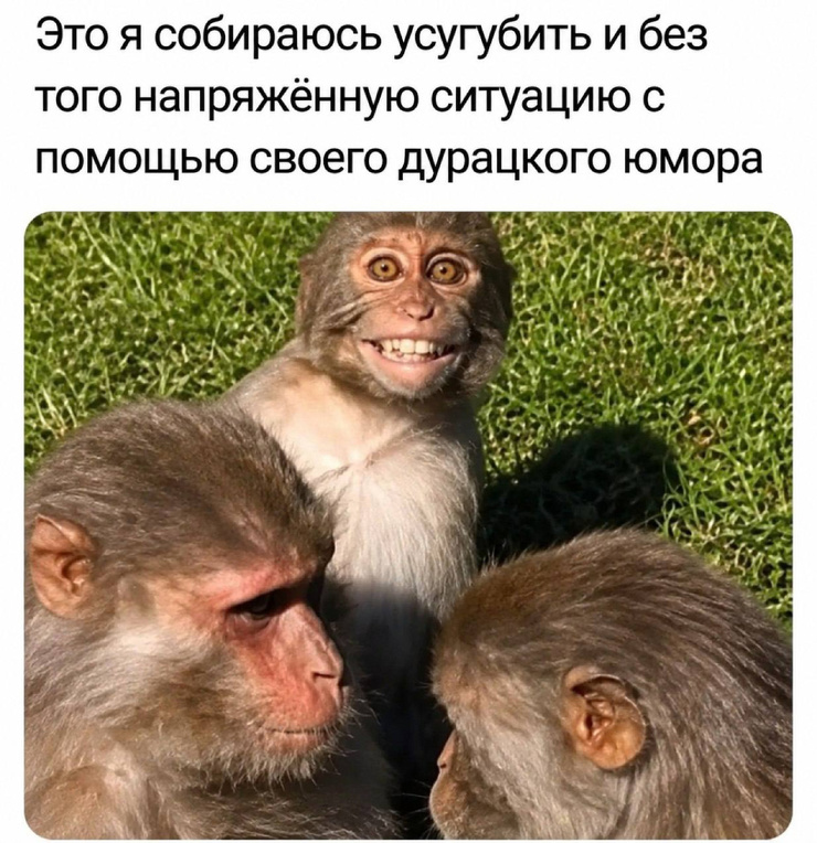 �������� ����� � �������� ��� ���������� (30 ����)