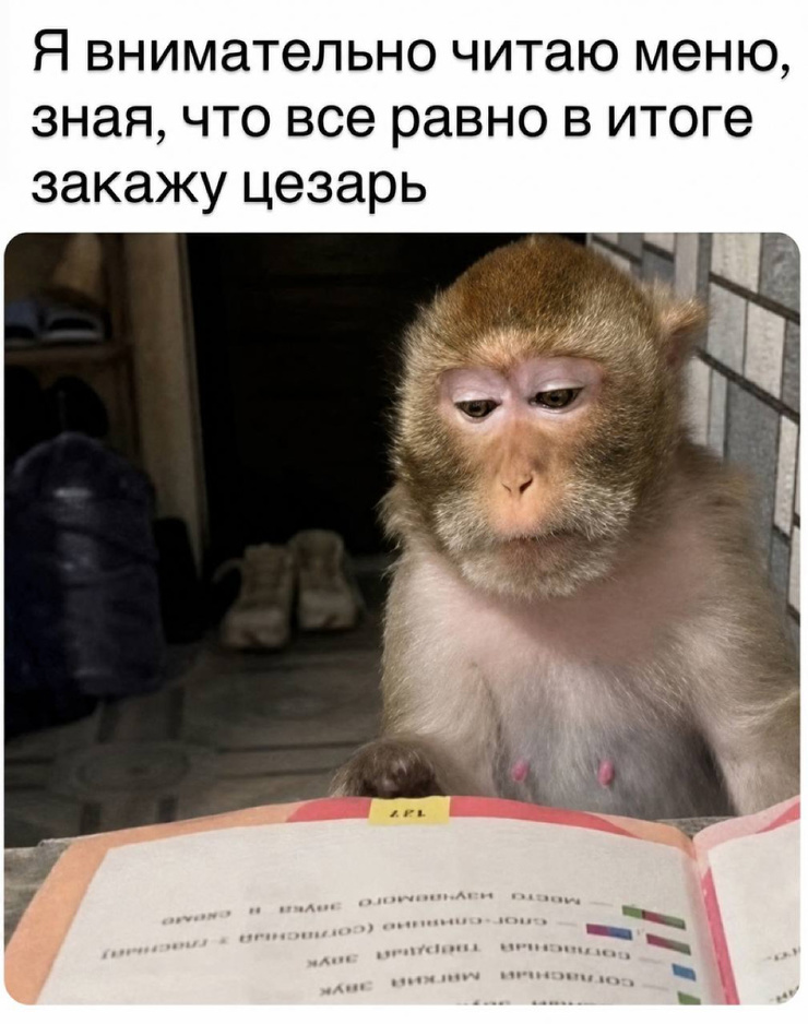 ������� ���� � ������� �� ���� (22 ����)