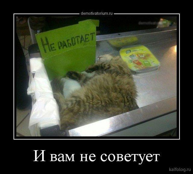 ������������ �������� (20 ����)