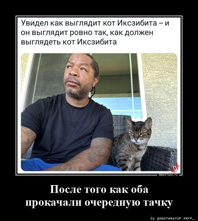 ������������ �������� (20 ����)