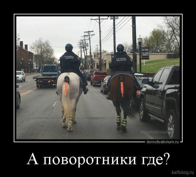 ������������ �������� (20 ����)