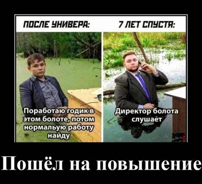 ������������ ����� (20 ����)