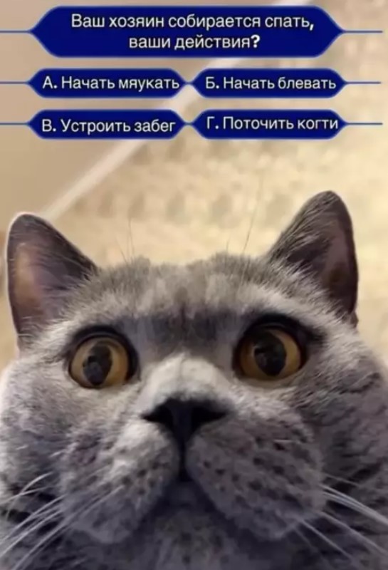���������! ������ ������� � ���� ��� ���������� (20 ����)