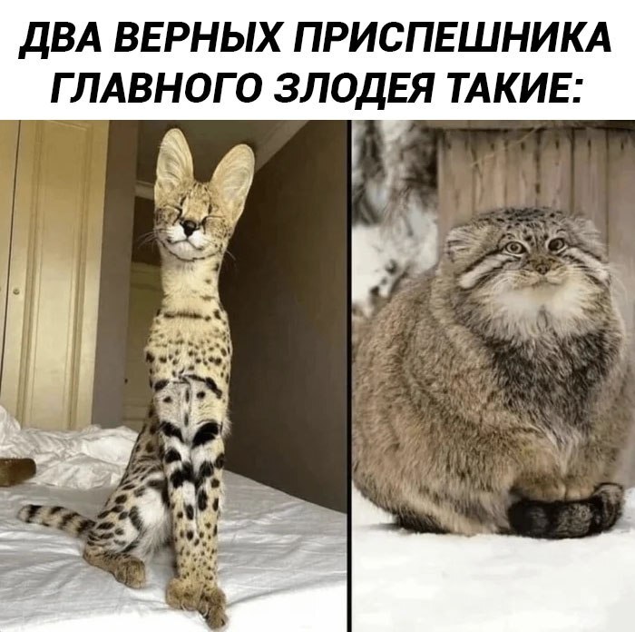 ���������! ������ ������� � ���� ��� ���������� (20 ����)