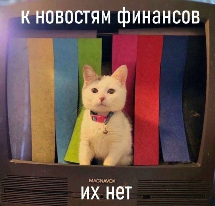 ���������! ������ ������� � ���� ��� ���������� (20 ����)