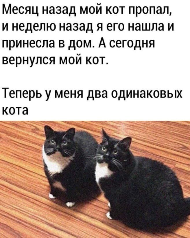 ���������! ������ ������� � ���� ��� ���������� (20 ����)
