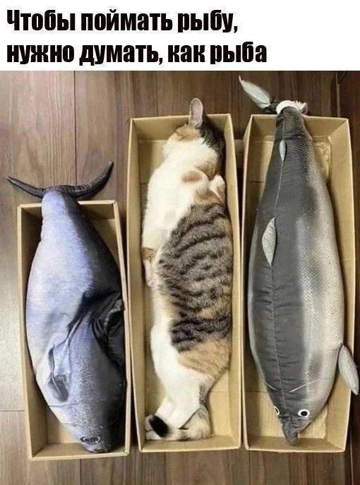 ���������! ������ ������� � ���� ��� ���������� (20 ����)