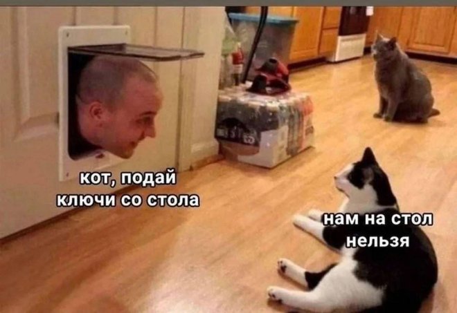 ������� ������ ����� � �������� �� ���� (27 ����)